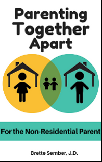 Parenting Together Apart Non-Residential by Brette Sember