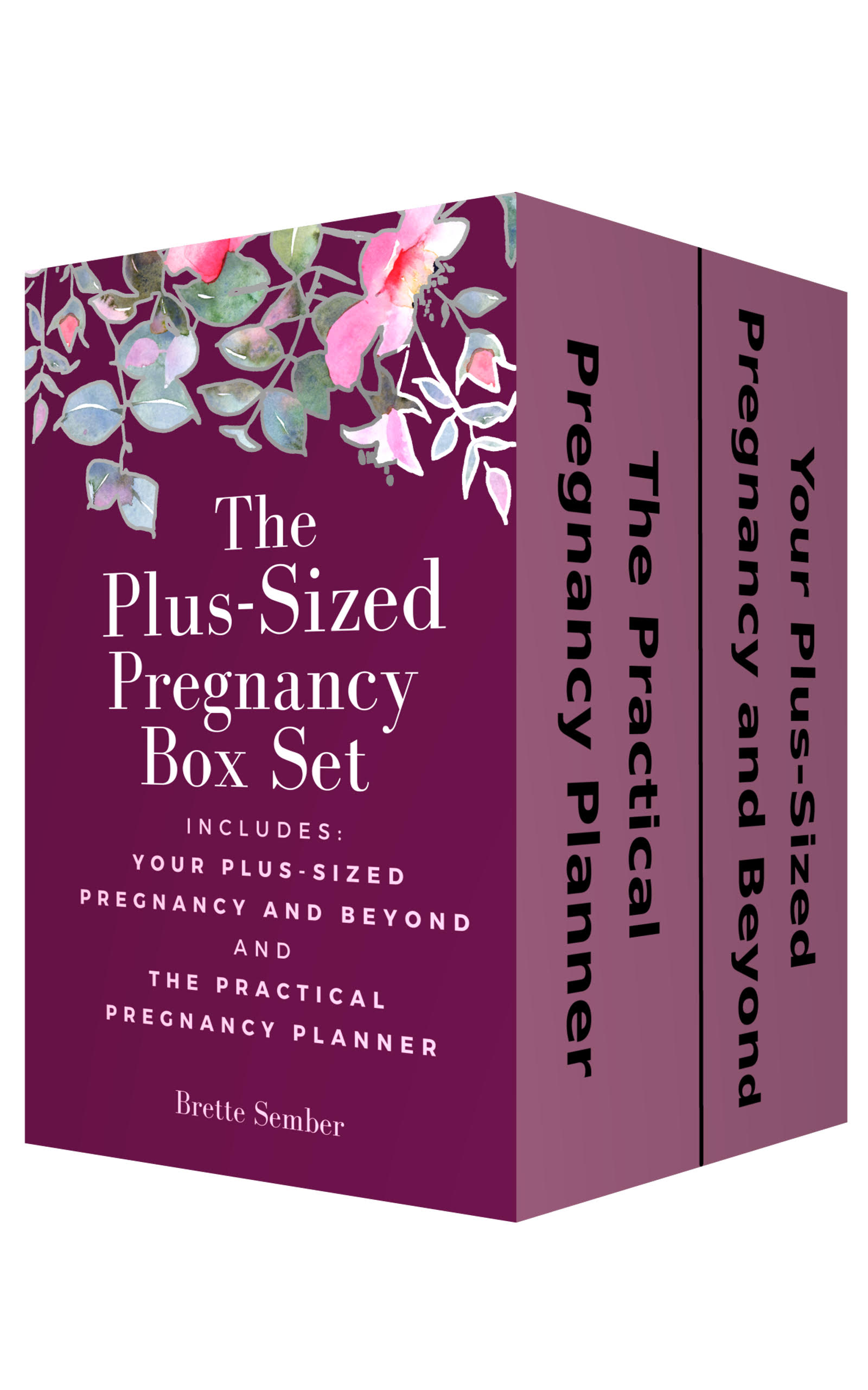 The Plus-Sized Pregnancy Box Set by Brette Sember