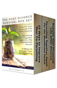 The Post-Divorce Survival Box Set by Brette Sember