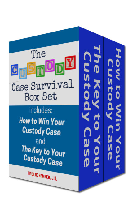 The Custody Case Survival Box Set by Brette Sember
