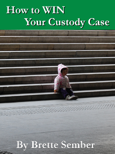 How to WIN Your Custody Case